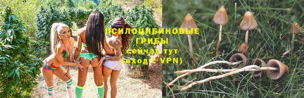 марки nbome Каменногорск