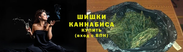 метадон Каменка