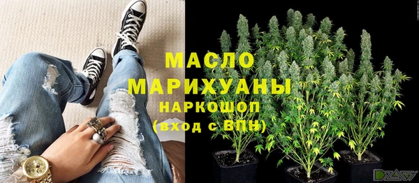 метадон Каменка