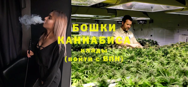 метадон Каменка