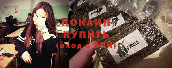 метадон Каменка