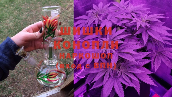 метадон Каменка